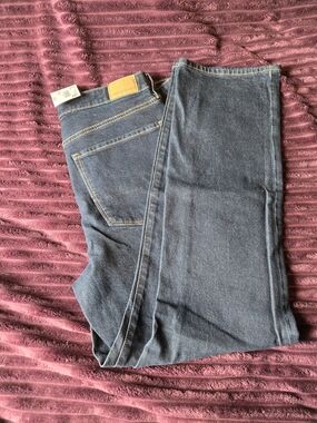 American Eagle Dark Skinny Jeans